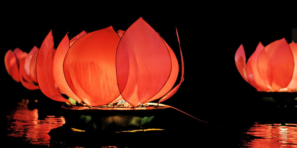 Lotus Lanterns